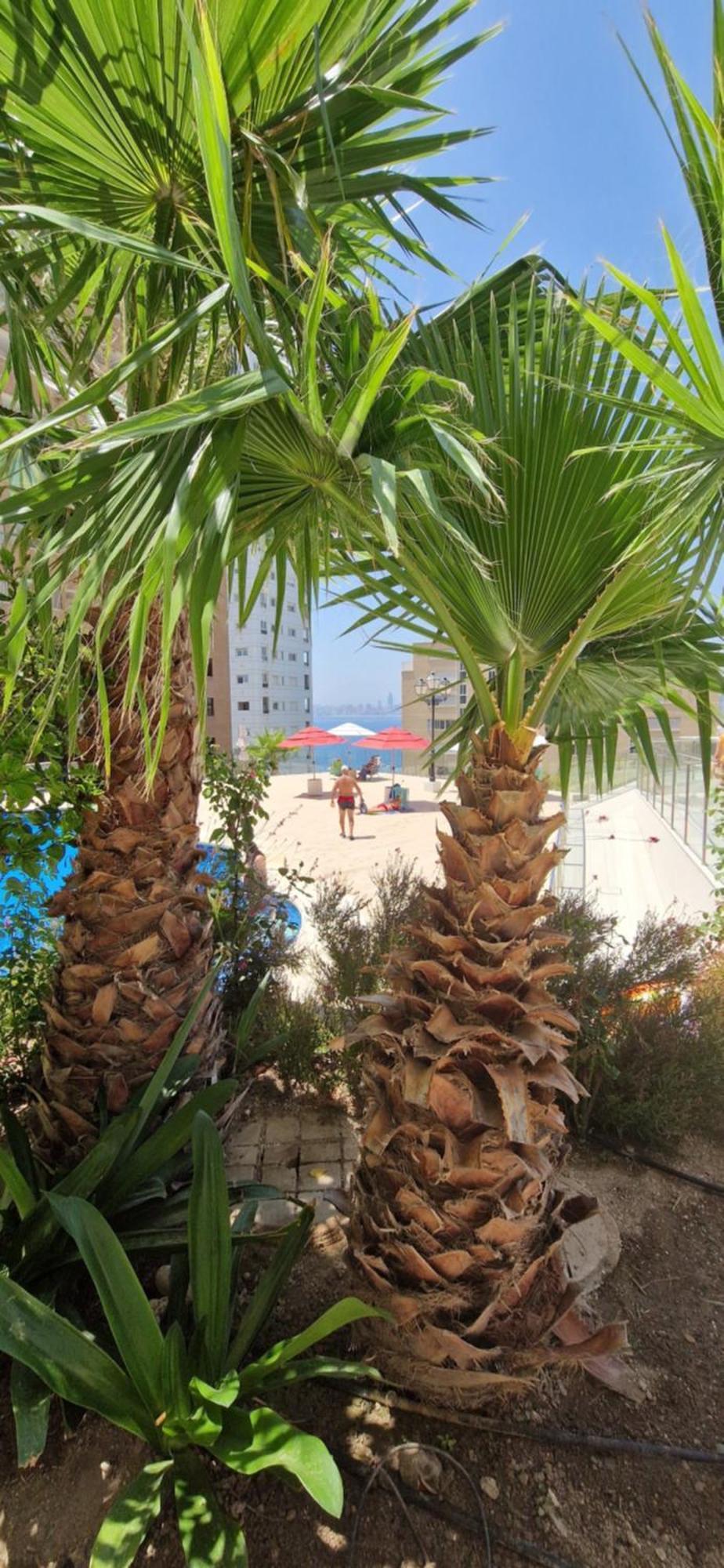 Nice Stay Trinisol 2 Μπένιντορμ Εξωτερικό φωτογραφία